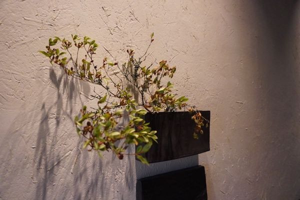 ranunculus___________さんの写真 / 6