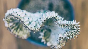 内部エントランス / 2