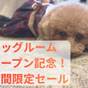 ドッグルームオープン記念セール★おひとり様5000円引き！素泊まりプラン | サンセットビューホテル けひの海