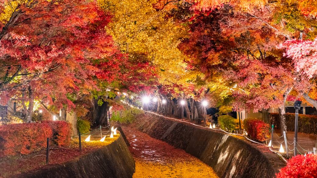 富士河口湖紅葉まつりの風景 / 3