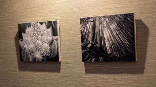 フォレストビュースイート 碧 禁煙