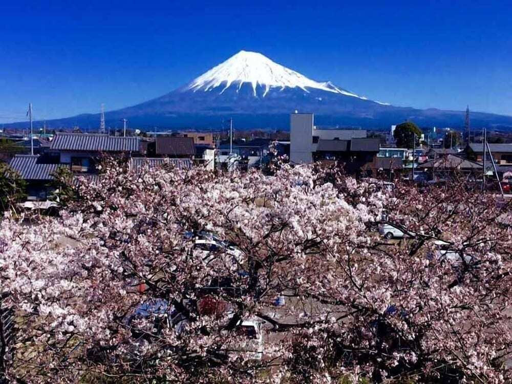 施設からの眺望
