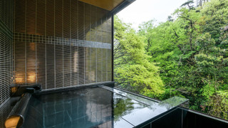 [渓流眺望] 部屋食＆源泉露天風呂付特別室 (2023年新登場)