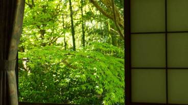 施設からの眺望 / 35