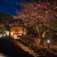 伊豆高原温泉 はなれ宿 善積