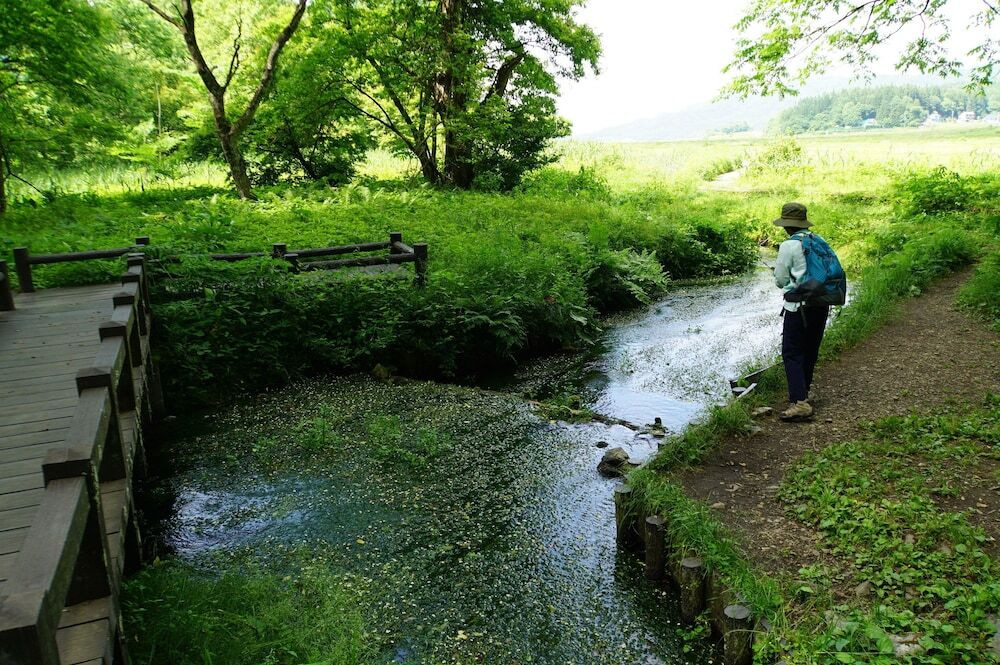 マウンテン ビュー