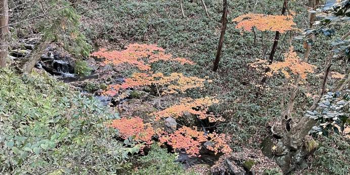 新那須高原温泉 こころのおやど 自在荘（栃木県 旅館） / 1