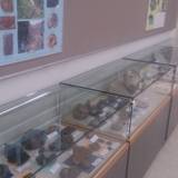 瑞浪市化石博物館（ミズナミシカセキハクブツカン）