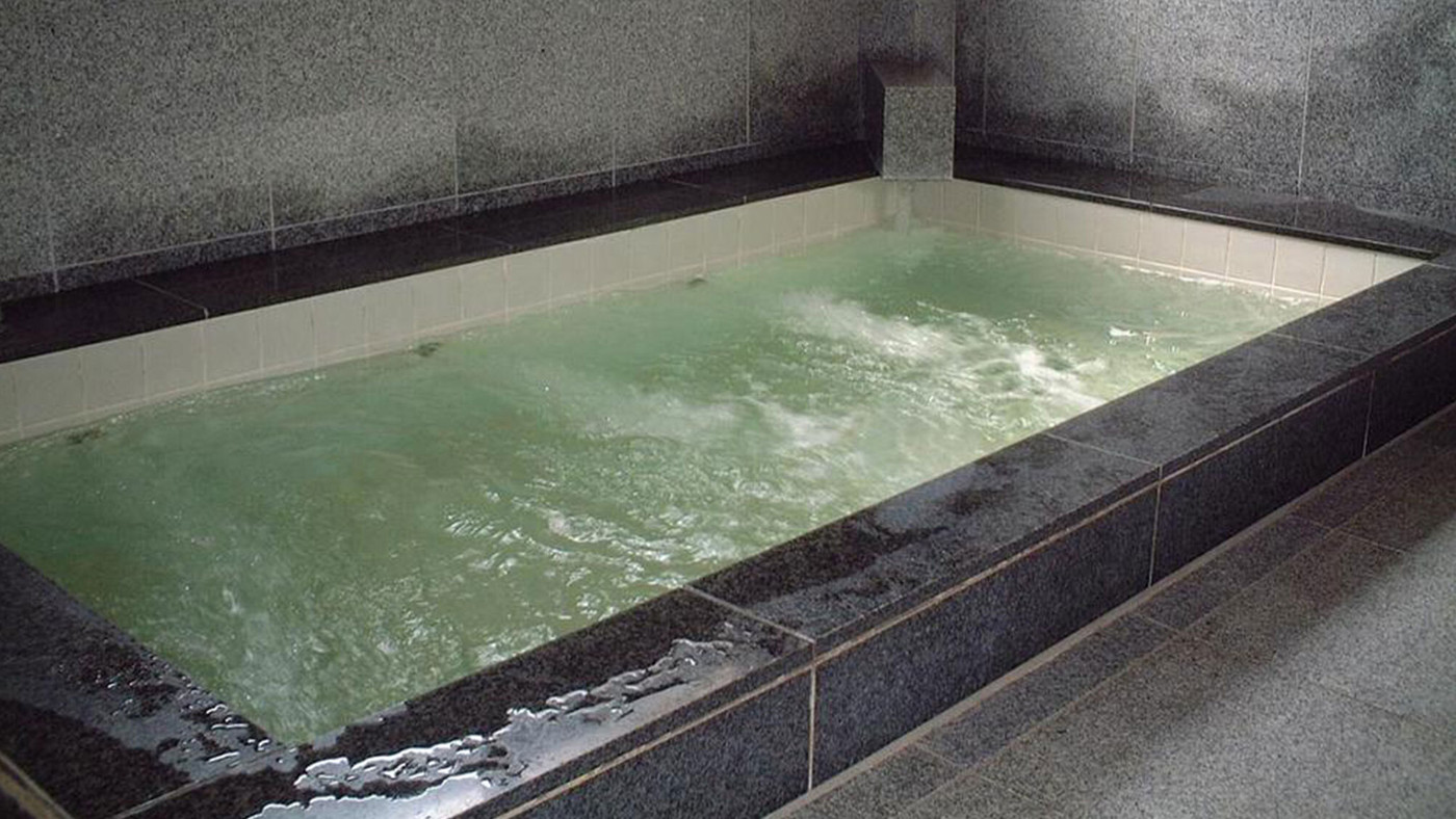 いろは坂の麓。静かに過ごせる料理自慢の宿3929015