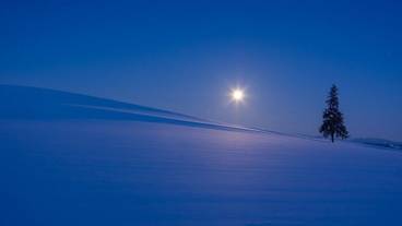 ランド ビュー / 24