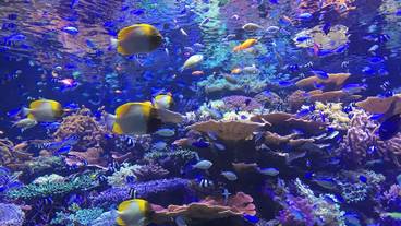 観光スポット / 14