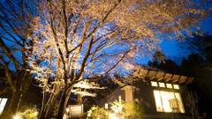 湯布院温泉 forest inn BORN