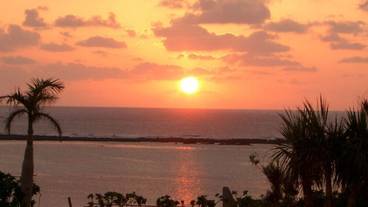 ビーチ / オーシャン ビュー / 23