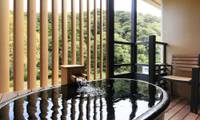 箱根湯本温泉 箱根水明荘（ハコネユモトオンセン ハコネスイメイソウ）