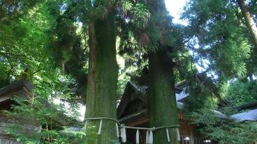 観光スポット / 3