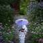 【全国】雨の日だからこそ映える景色がある。雨の日に訪れたい絶景スポット8選