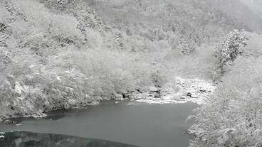 スノーシュー / 12