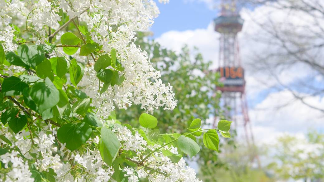 札幌大通公園 / 3