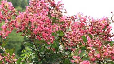 施設の敷地 / 17