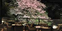 特等席で贅沢にお花見♡桜が美しい東京のカフェ＆レストラン7選