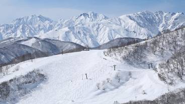 スノー スポーツとスキー / 5