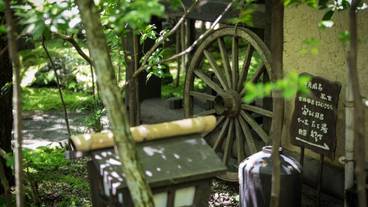 施設の敷地 / 36