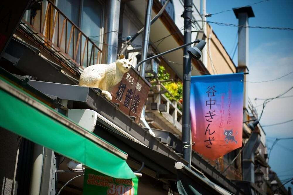 施設からの眺望