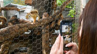 子供向けアクティビティ / 3