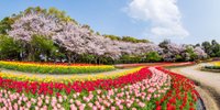 「なばなの里」周辺のおすすめホテル10選♪カップルも子連れも大満足／三重