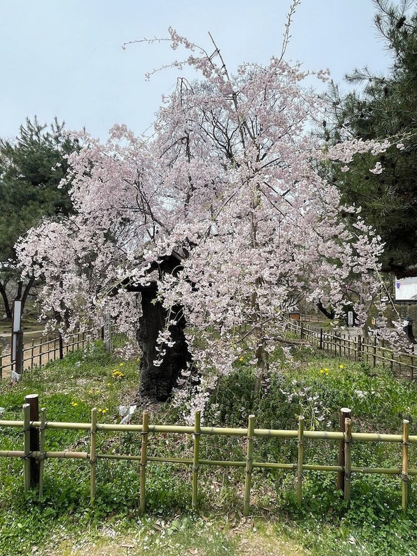 観光スポット