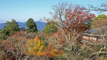 施設内の設備 / 5