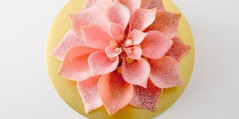 お花みたいなスイーツ ギフトにしたい東京のスイーツ6選 Icotto イコット