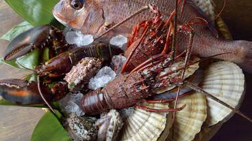 食事・飲み物 / 1