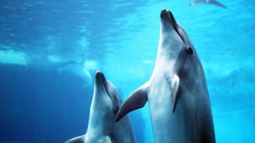 子供用の遊び場 - 屋外 / 6