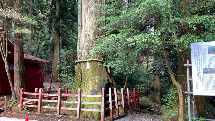 tugiyakoさんの写真 / 3