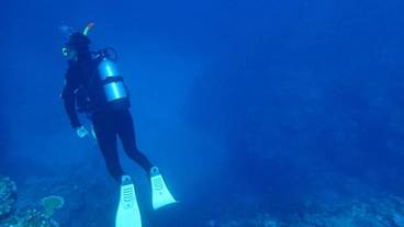 フィットネス設備 / 2