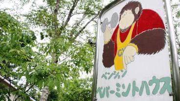 メイン イメージ / 1