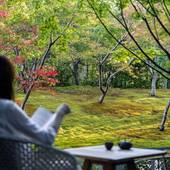 ギャリア・二条城 京都（京都府 シティホテル） / 5