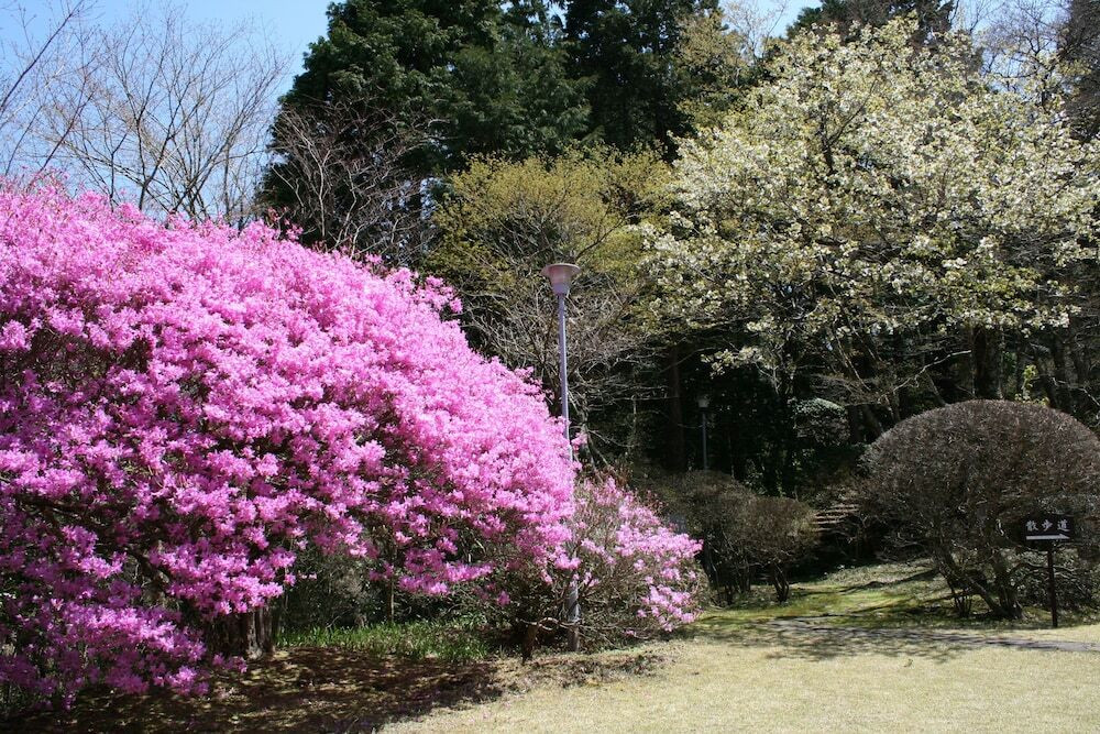 仙石原温泉 仙郷楼（センゴクハラオンセン センキョウロウ） / 5