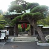 長谷寺 (長谷観音)（ハセデラハセカンノン）