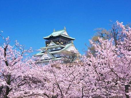 アインズ イン梅田東 / 3