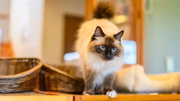 施設内の設備 / 25