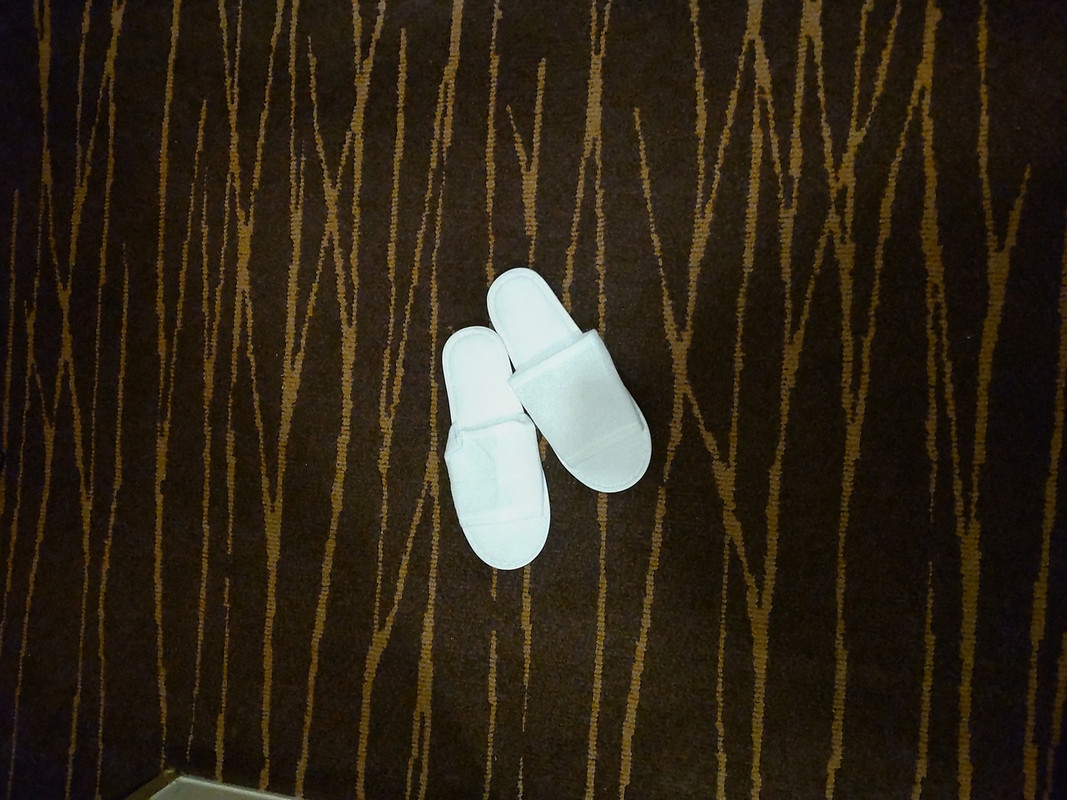 スリッパは薄いやつ