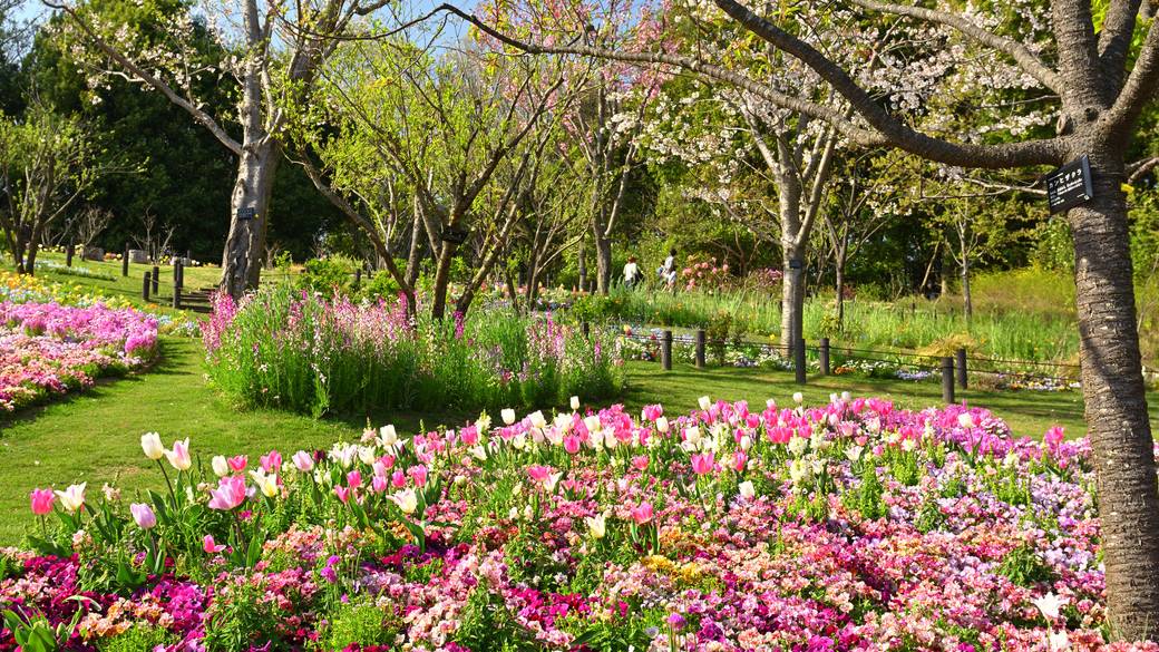 里山ガーデン / 5