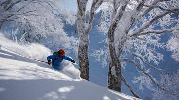 スノー スポーツとスキー / 7