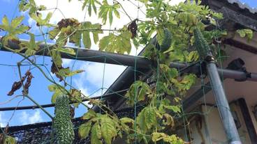 施設からの眺望 / 20