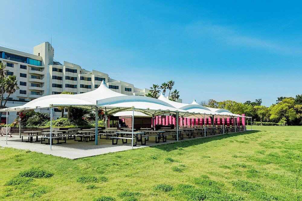 バーベキュー / ピクニック エリア