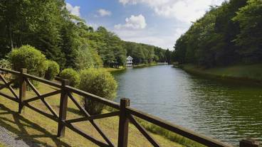 部屋からの景観 / 33