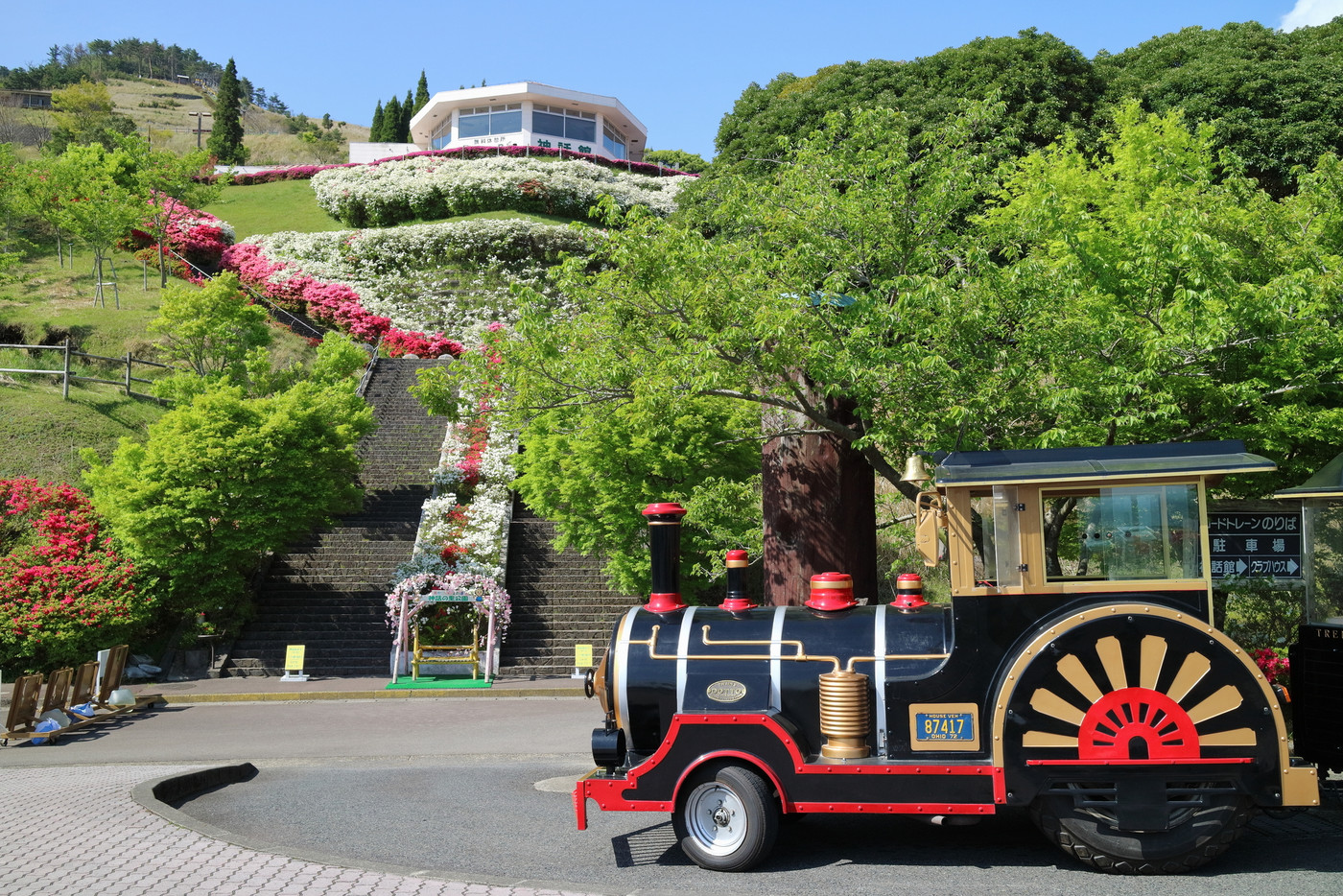 ツツジとロードトレイン（ポッポ号）