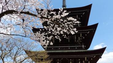 施設からの眺望 / 22